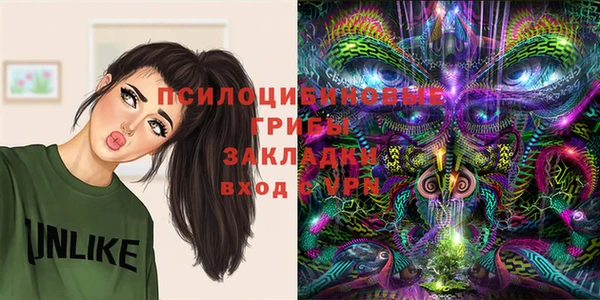ALPHA PVP Новозыбков