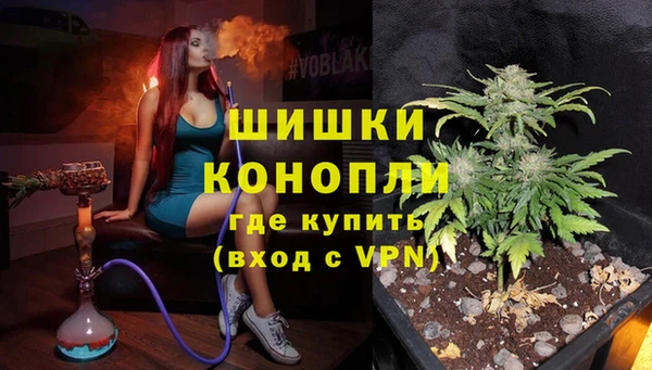ALPHA PVP Новозыбков