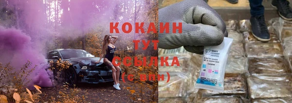 стаф Новодвинск