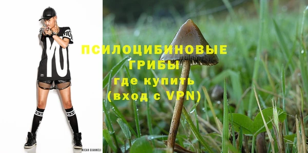 стаф Новодвинск
