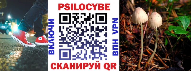 закладки  Николаевск  Галлюциногенные грибы Magic Shrooms 