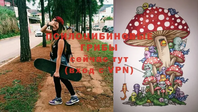 Псилоцибиновые грибы Magic Shrooms  ссылка на мегу ONION  Николаевск 